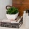 Items sitting on a shelf